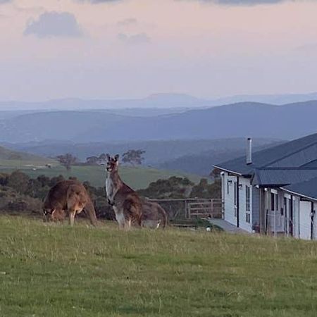 Rooks Edge Bed & Breakfast Gisborne Exterior photo