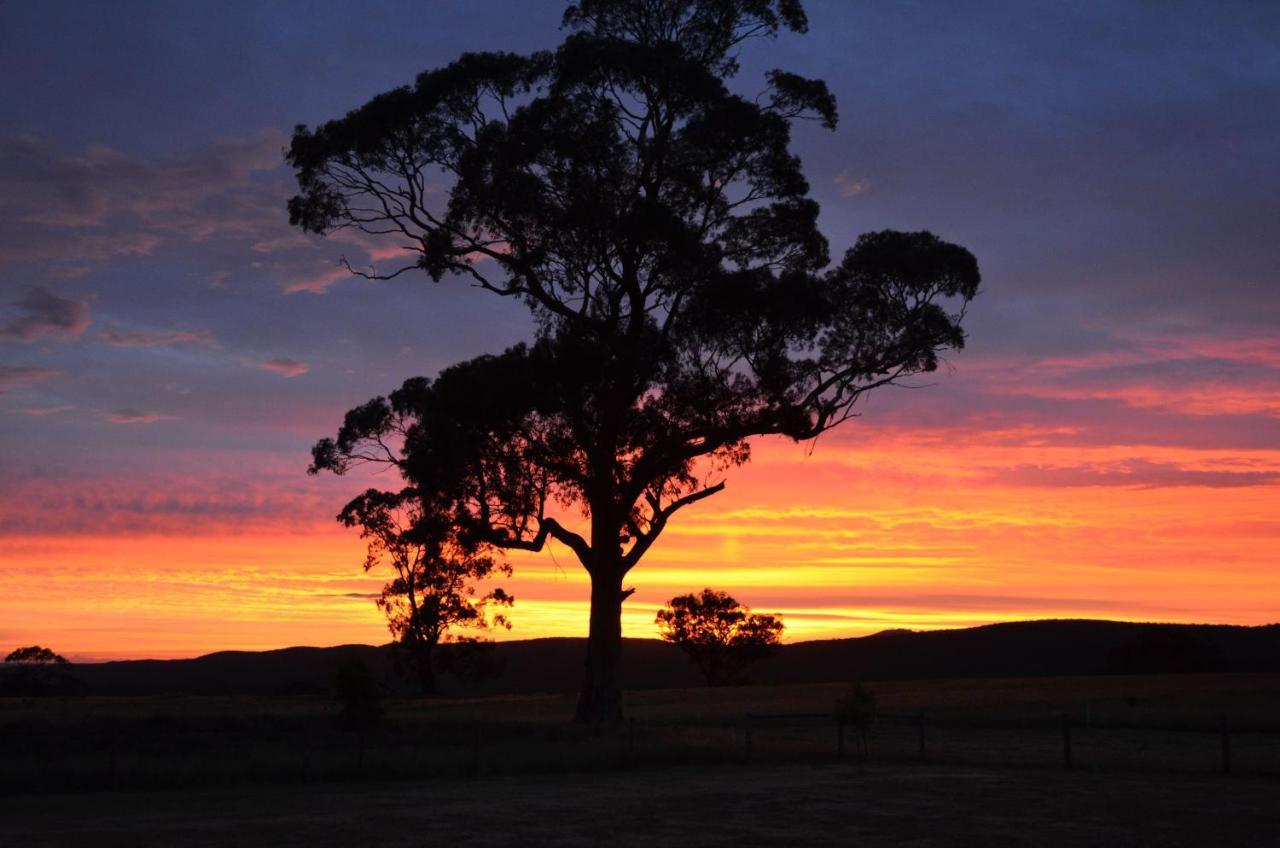 Rooks Edge Bed & Breakfast Gisborne Exterior photo
