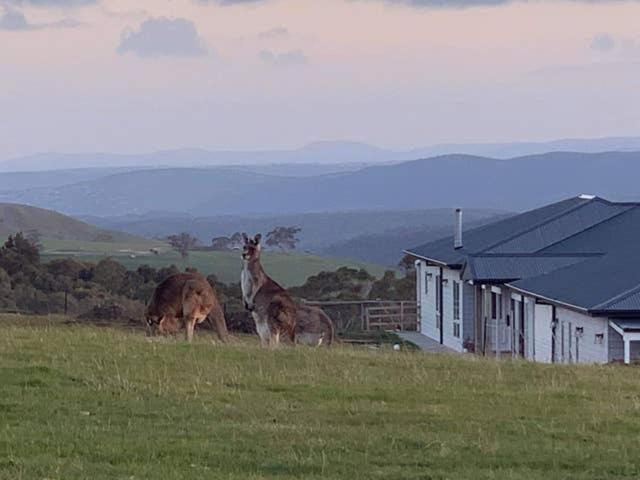 Rooks Edge Bed & Breakfast Gisborne Exterior photo